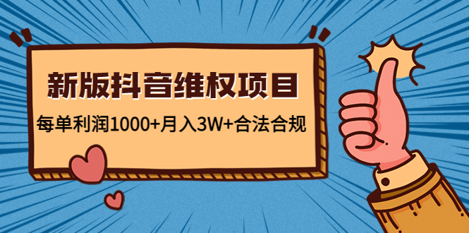 新版抖音维全项目：每单利润1000+月入3W+合法合规！-大伟资源网