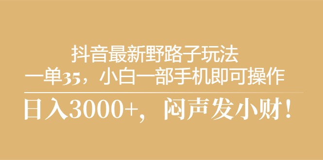 （10766期）抖音最新野路子玩法，一单35，小白一部手机即可操作，，日入3000+，闷…-大伟资源网