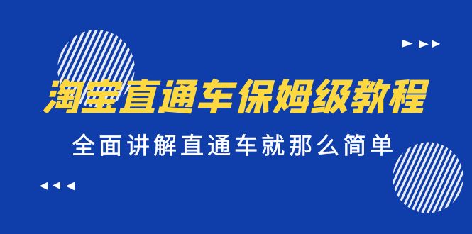 淘宝直通车保姆级教程，全面讲解直通车就那么简单！-大伟资源网