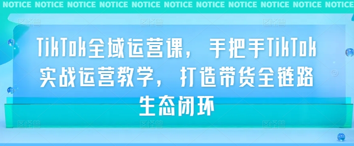 TikTok全域运营课，手把手TikTok实战运营教学，打造带货全链路生态闭环-大伟资源网