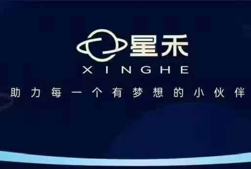 星禾抖音短视频带货，学习短视频带货，带你爆单起飞-大伟资源网
