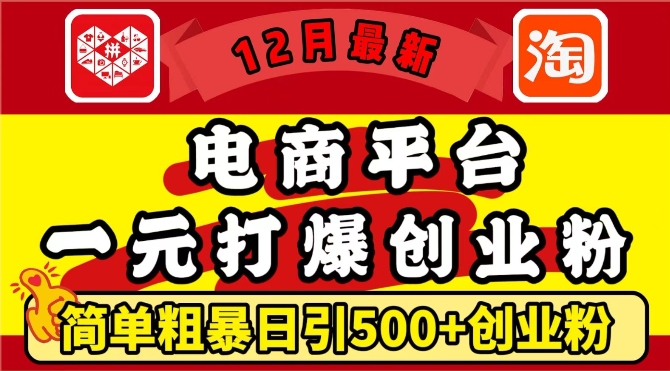 12月最新：电商平台1元打爆创业粉，简单粗暴日引500+精准创业粉，轻松月入过W【揭秘】-大伟资源网