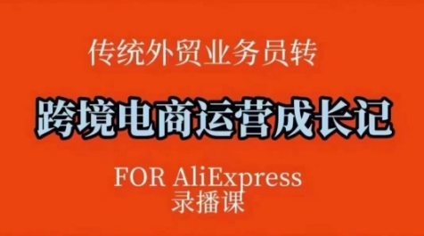跨境电商速卖通运营课，​运营方法论+后台实操，逻辑清晰-大伟资源网