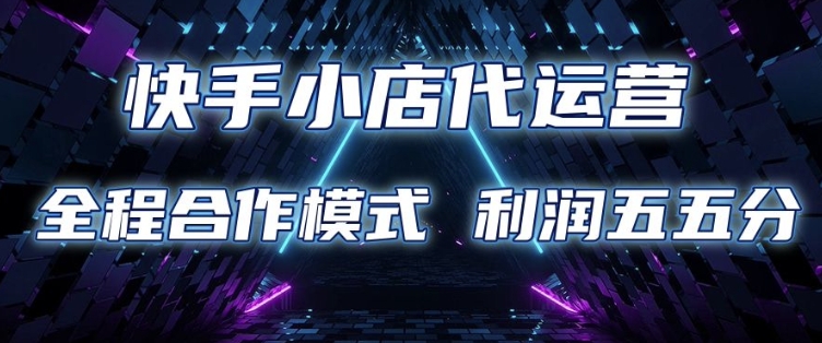快手小店代运营 限时托管计划 合作模式 利润五五分成【揭秘】-大伟资源网