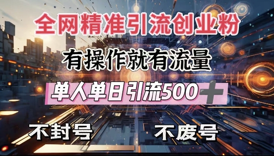 全网独家引流创业粉，有操作就有流量，单人单日引流500+，不封号、不费号-大伟资源网