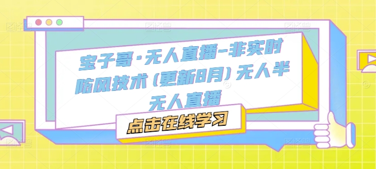 宝子哥·无人直播-非实时防风技术(更新9月)无人半无人直播-大伟资源网