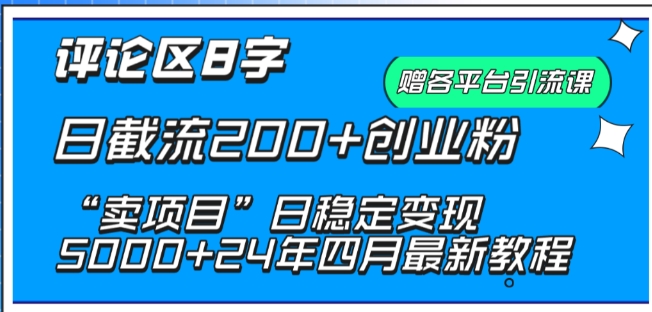 抖音评论区8字日截流200+创业粉 “卖项目”日稳定变现5000+-大伟资源网