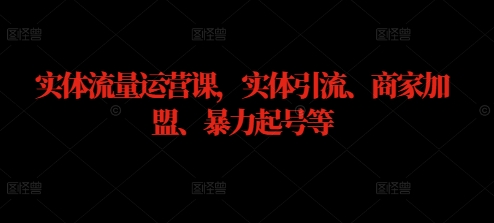 实体流量运营课，实体引流、商家加盟、暴力起号等-大伟资源网