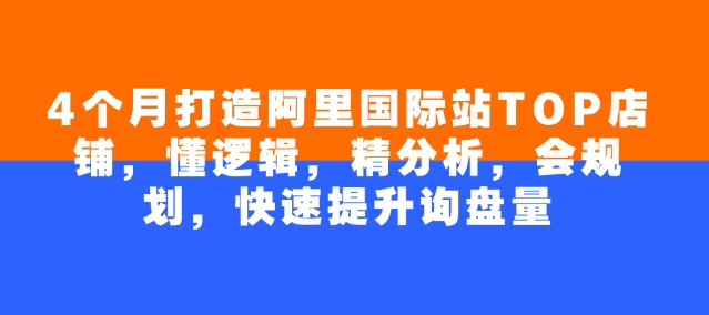 4个月打造阿里国际站TOP店铺，懂逻辑，精分析，会规划，快速提升询盘量-大伟资源网
