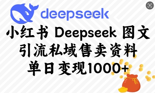 小红书Deepseek图文引流私域售卖资料，单日变现多张-大伟资源网