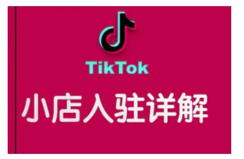 TikTok跨境小店运营全攻略，帮助你独立运营TK跨境小店的能力，实现销量增长-大伟资源网