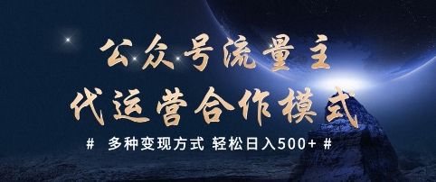 公众号流量主代运营  多种变现方式 轻松日入5张【揭秘】-大伟资源网