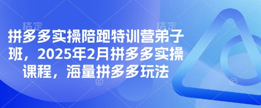 拼多多实操陪跑特训营弟子班，2025年2月拼多多实操课程，海量拼多多玩法-大伟资源网