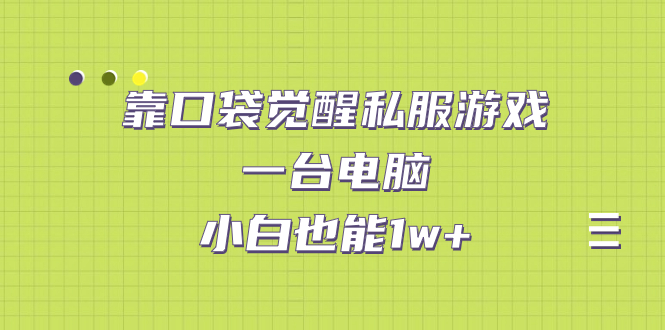 靠口袋觉醒私服游戏，一台电脑，小白也能1w+（教程+工具+资料）-大伟资源网