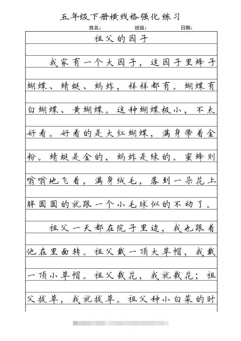 五年级语文下册横线格（部编版）-大伟资源网