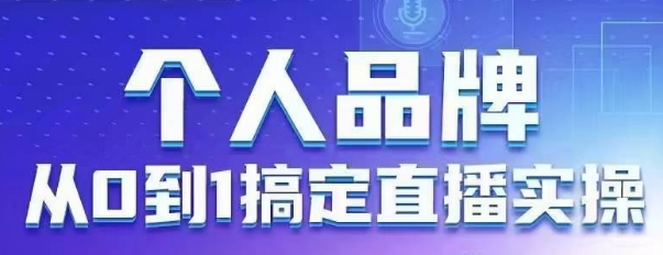 个人品牌：从0到1搞定直播实操，用直播为你的个人品牌赋能，六大实操板块，放大个人影响力-大伟资源网