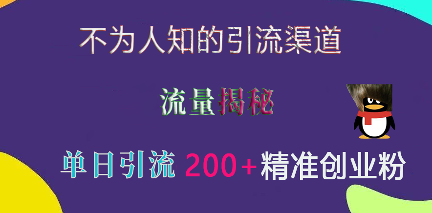 不为人知的引流渠道，流量揭秘，实测单日引流200+精准创业粉-大伟资源网