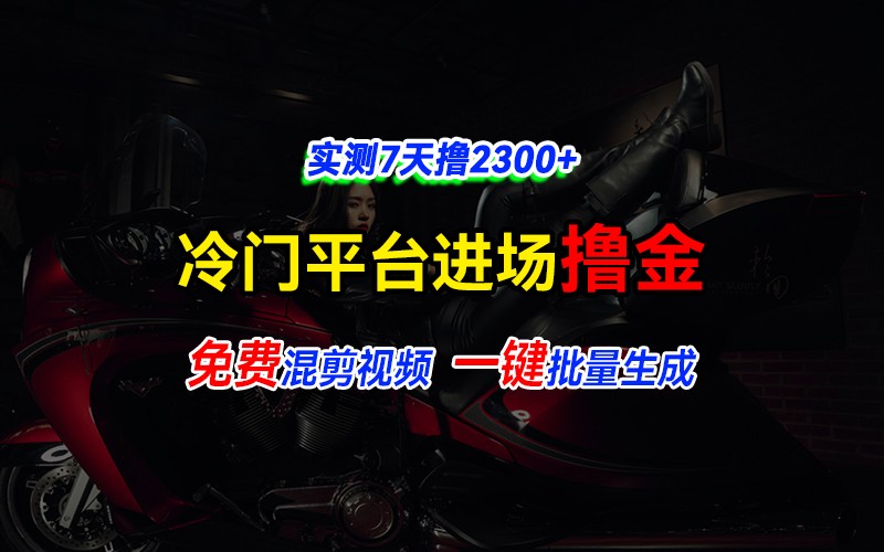 全新冷门平台vivo视频，快速免费进场搞米，通过混剪视频一键批量生成，实测7天撸2300+-大伟资源网