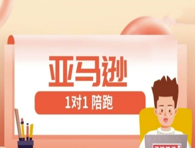 亚马逊1对1陪跑课(FBA/FBM精铺)跨境亚马逊教程-大伟资源网