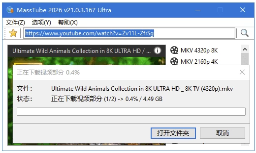 MassTube Ultra YouTube视频下载工具 v21.5.4.197 多语便携版-大伟资源网