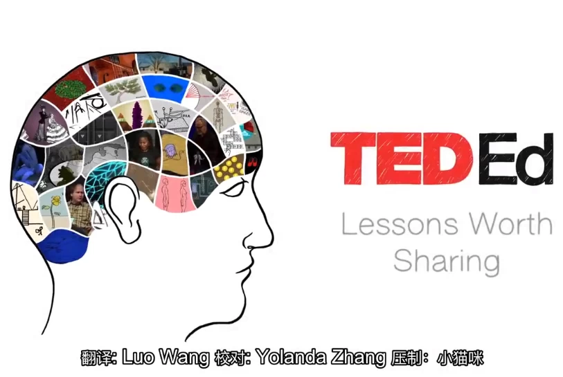 图片[1]-TED-Ed科普动画系列《你应该知道的知识》-大伟资源网