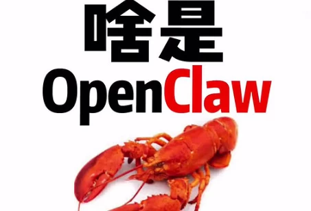 喂饭级教程：一个视频搞懂OpenClaw+完整安装课程-大伟资源网