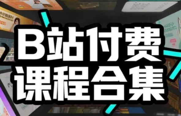 B站付费课程超级大合集-大伟资源网