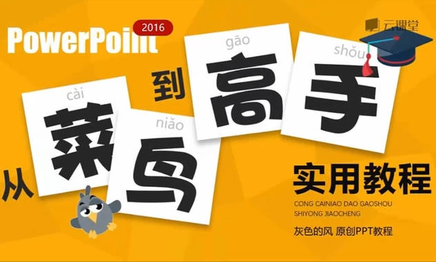 图片[1]-PPT从菜鸟到高手实用教程-大伟资源网