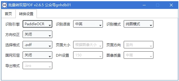 批量转双层PDF 可识别各种语言 v3.0.9 中文绿色版-大伟资源网
