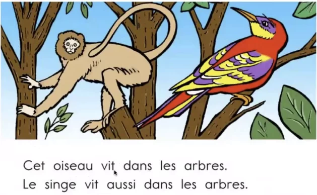 私域冷门赛道：单个收费198米引流模板简单人群精准转化率45%单人每日收益在1k+-大伟资源网