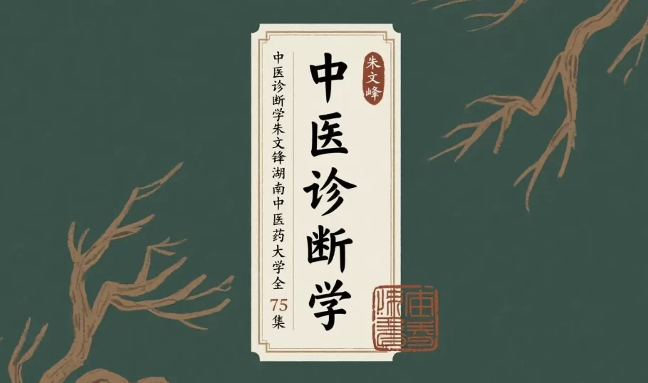 图片[1]-中医诊断学：朱文锋-湖南中医药大学-大伟资源网