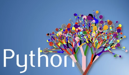 图片[1]-Python语言基础与应用 – 北京大学-大伟资源网