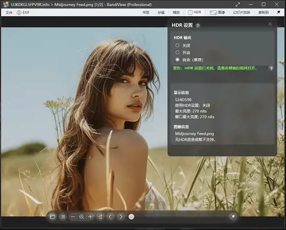 BandiView 图像查看器 v7.26.0 绿色版-大伟资源网