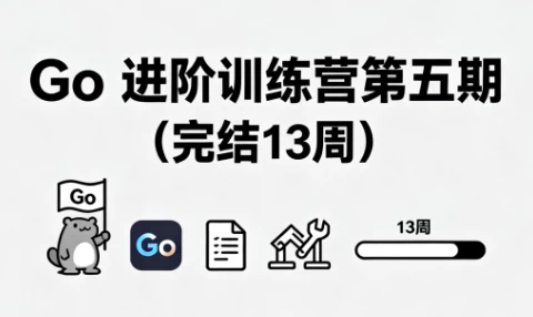 图片[1]-Go 进阶训练营第五期（完结13周）-大伟资源网