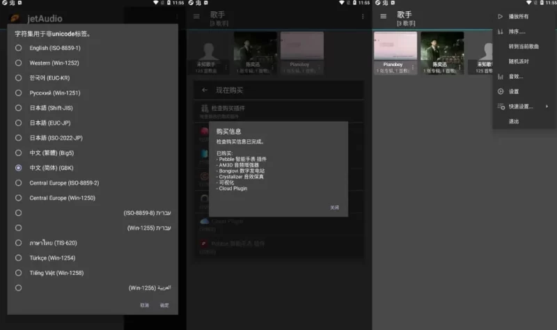 jetAudio v13.0.1 最强音乐播放器，高级多语言版-大伟资源网