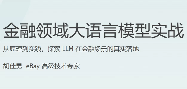 金融领域大语言模型实战-大伟资源网