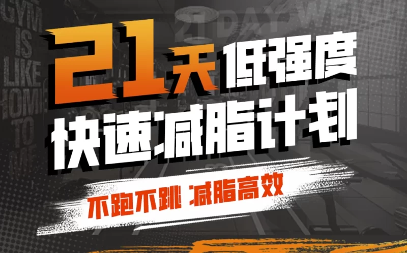 猫叔21天低强度，无跑跳高效减脂-大伟资源网