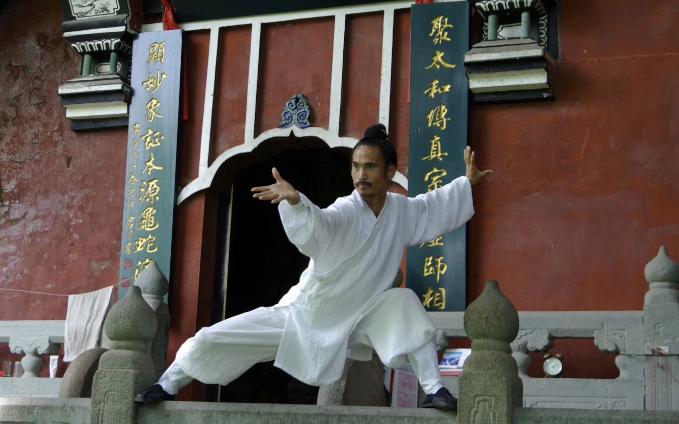 图片[1]-武当袁师懋道长养生八段锦-大伟资源网