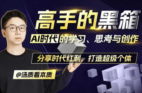 高手的黑箱：AI时代学习与创作-大伟资源网