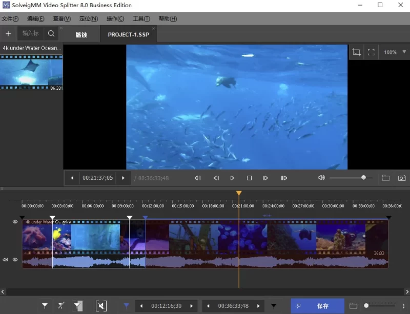 SolveigMM Video Splitter 视频剪辑 v9.0.2603.20 特别版-大伟资源网