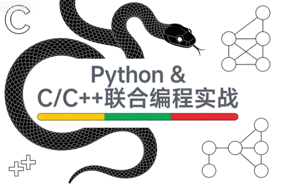 Python & C/C++联合编程实战课程-大伟资源网