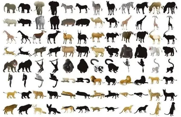 短视频ip实操变现大课，7月26-27日广州站线下课，2025谁都能学会的短视频搞钱课-大伟资源网