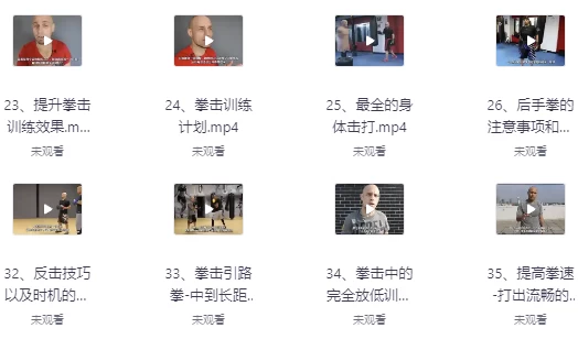 杰森拳击高清系统教学中英字幕-大伟资源网