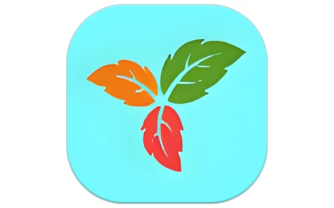 IP线上流量特训营，手把手教你搞流量、做IP、稳变现-大伟资源网