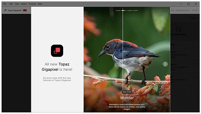 Topaz Gigapixel Pro 图像超分辨率软件 v1.1.3 直装破解版-大伟资源网
