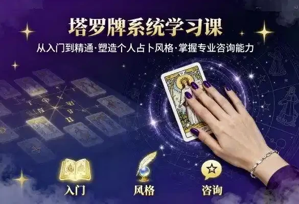 手打Q弹潮汕牛肉丸猪杂汤粉-大伟资源网