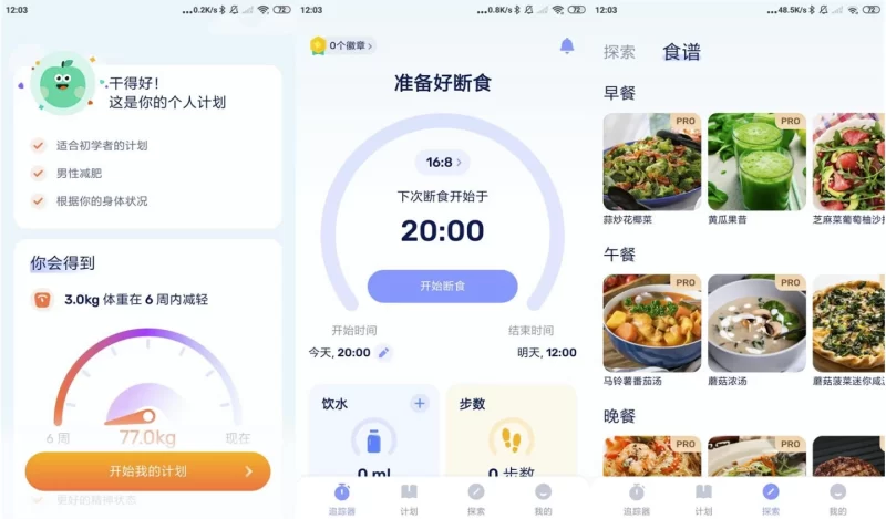 GoFasting 间歇性断食 v1.03.58.0202 VIP版-大伟资源网