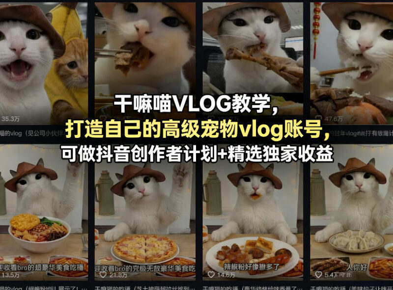 干嘛喵VLOG教学，打造自己的高级宠物vlog账号，可做抖音创作者计划+精选独家收益-大伟资源网