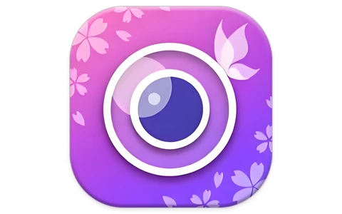 外贸社媒获客训练营11月，外贸新模式，快速做外贸-大伟资源网