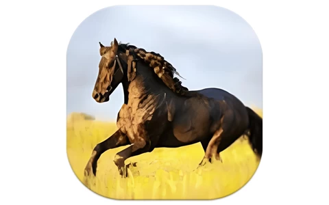 FilmoraGo Pro 喵影工厂 v15.3.41 修改版-大伟资源网